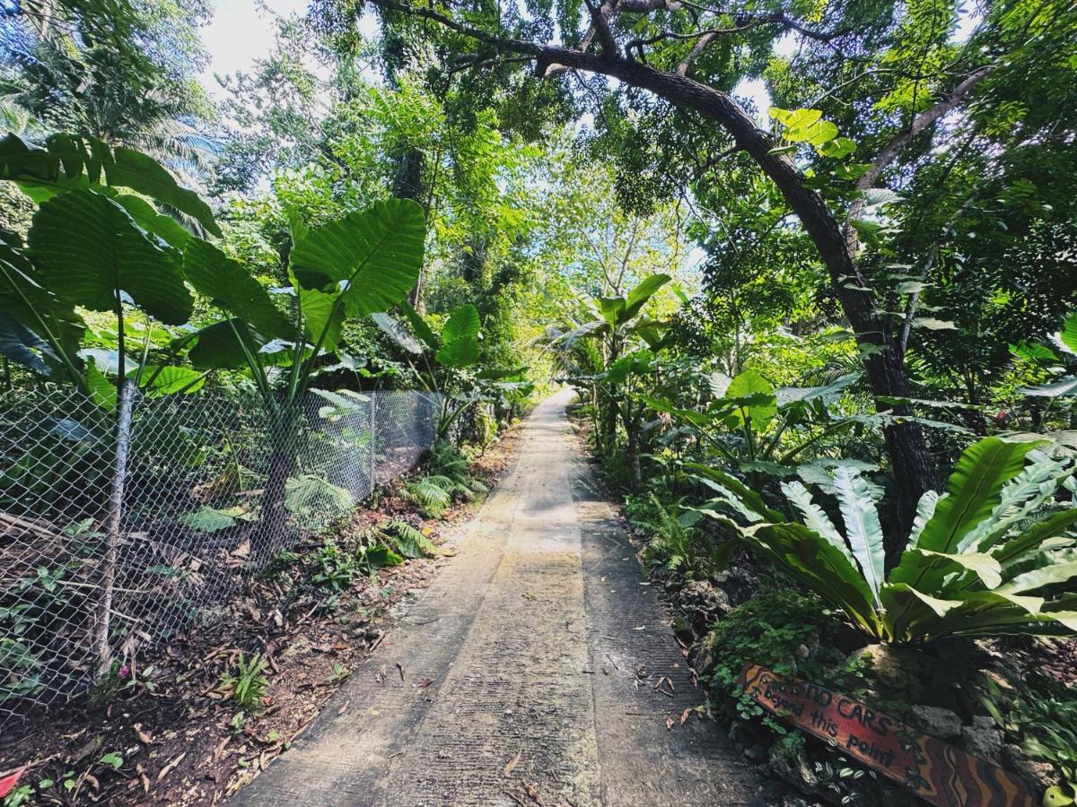 Jungle Kingdomes Guest House Siquijor Exterior foto