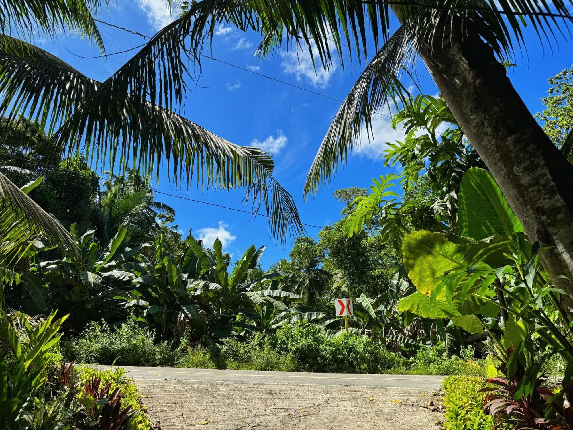 Jungle Kingdomes Guest House Siquijor Exterior foto