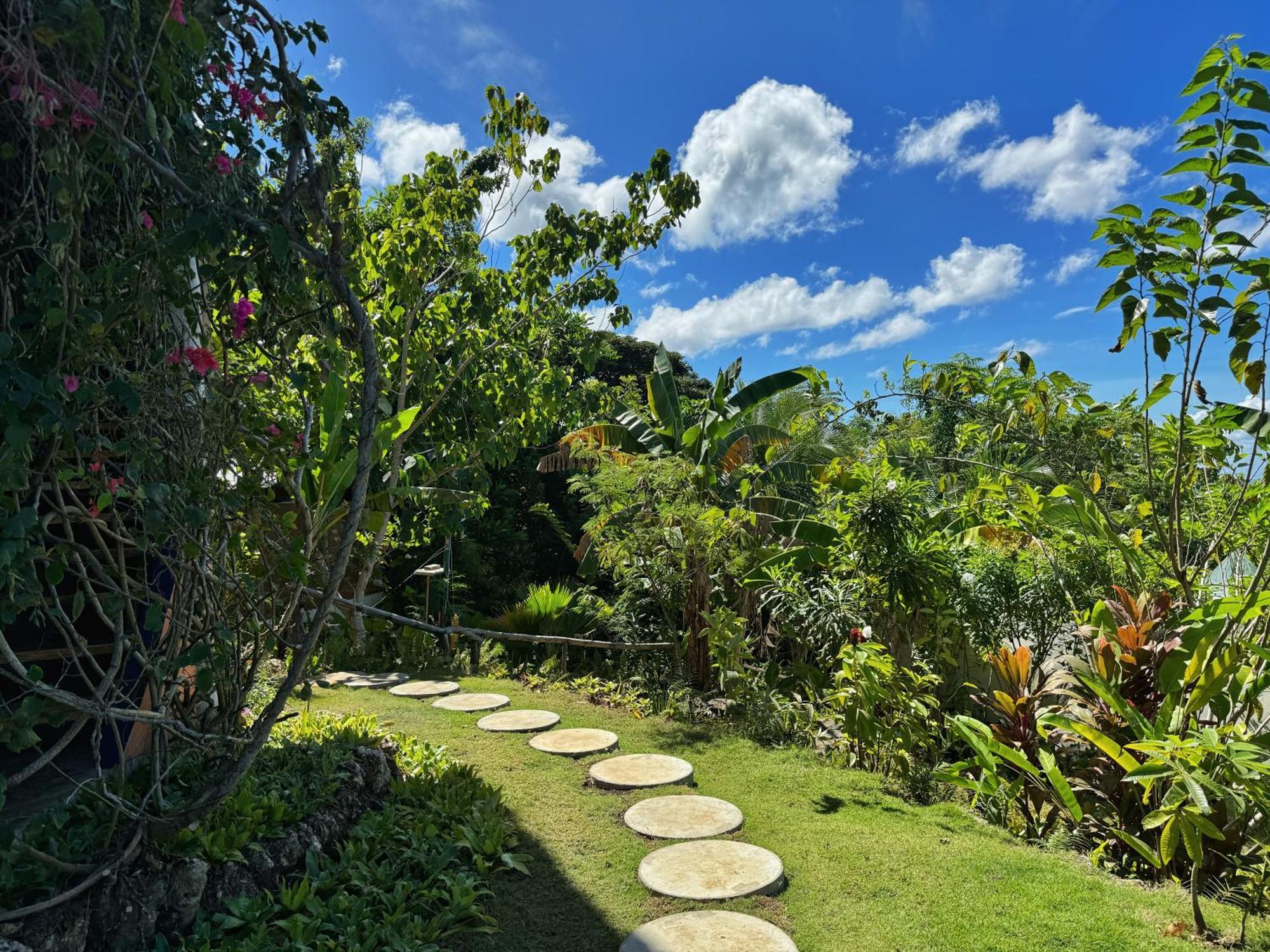 Jungle Kingdomes Guest House Siquijor Exterior foto